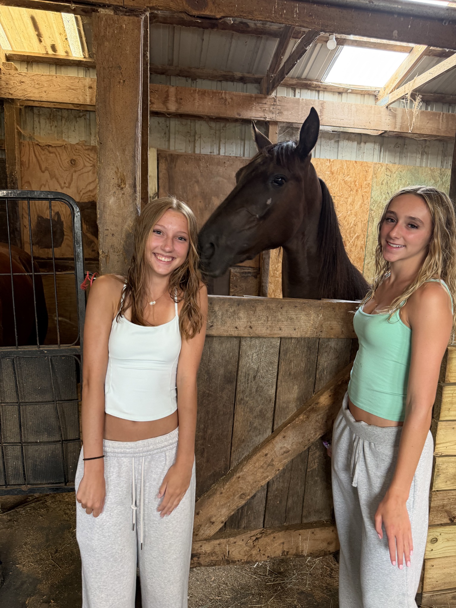 Visitors meeting a horse inside the barn